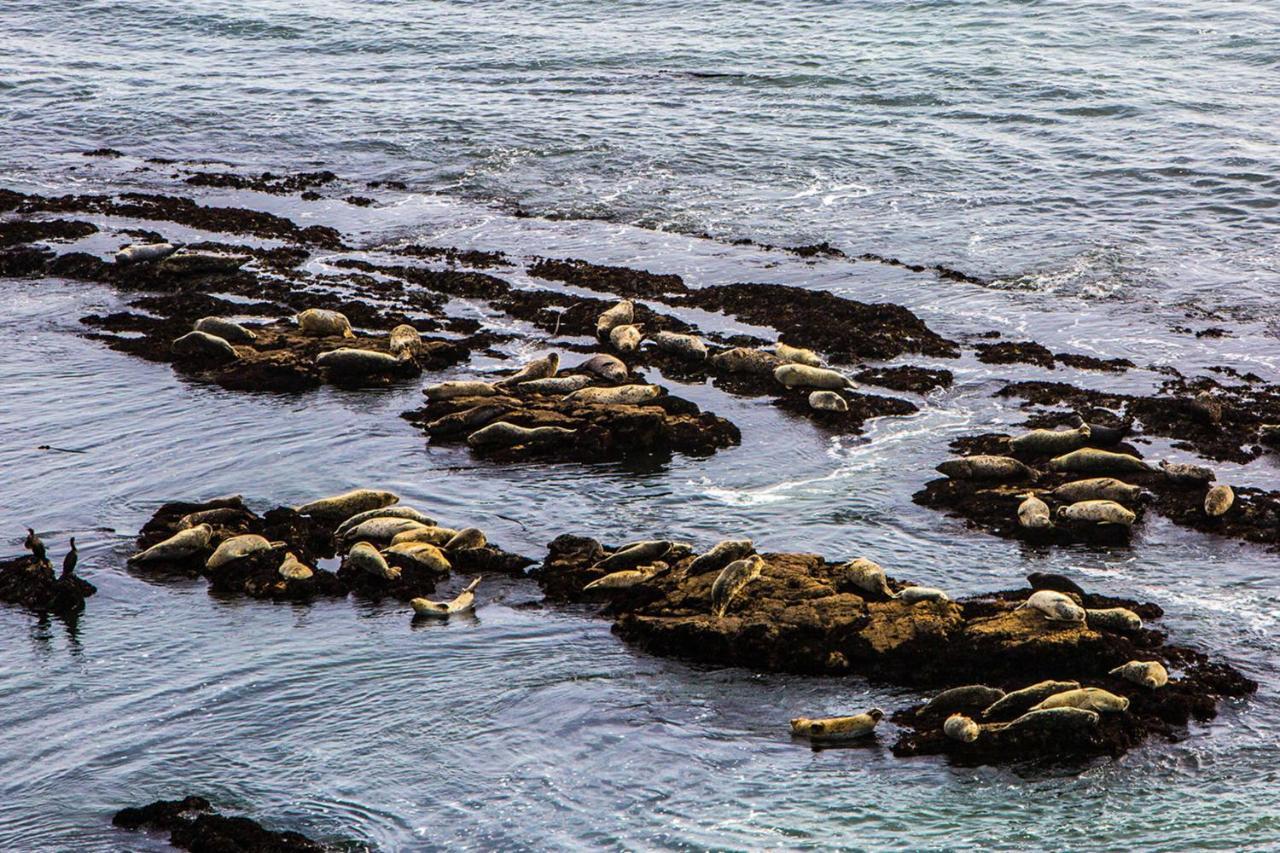 Miramar Beach Home Walk To Beach Trails Restaurants Family Activities Half Moon Bay Eksteriør bilde